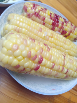 玉米