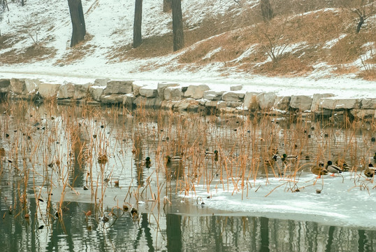 湖畔积雪