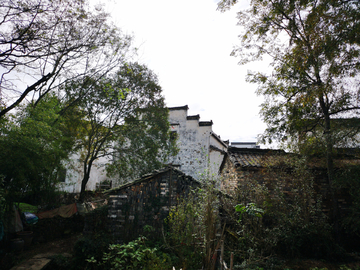 乡村即景