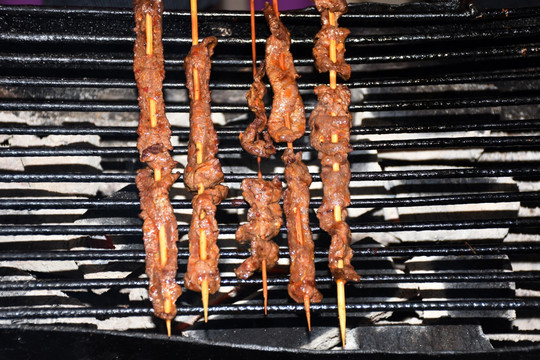 炭烤羊肉串