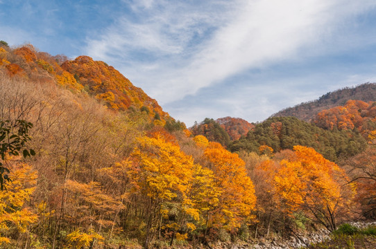 光雾山大坝景区大小兰沟