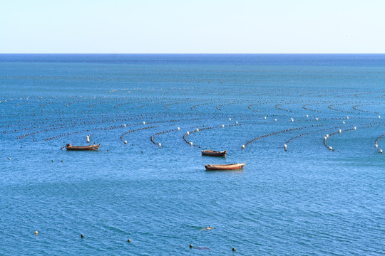 大连旅顺黄海生态养殖筏