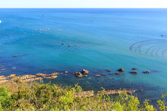 大连旅顺黄海生态养殖筏