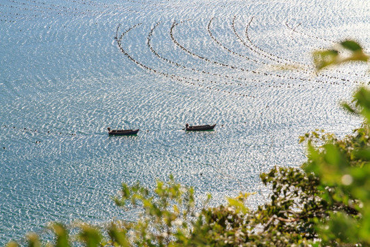大连旅顺黄海生态养殖筏