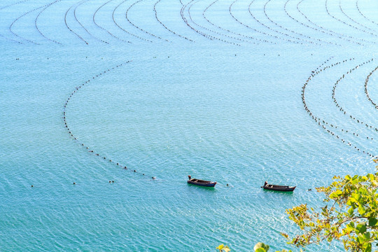 大连旅顺黄金山海域养殖筏