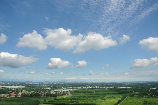 俯拍绿色田园