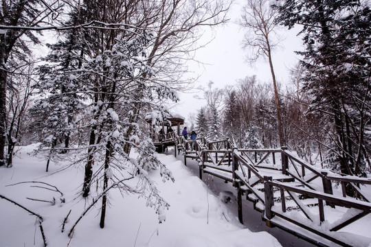 雪景