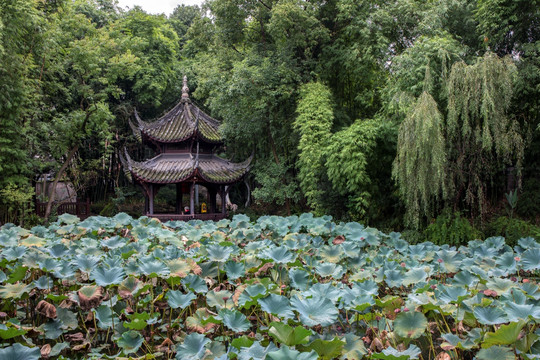 眉山三苏祠园林景观