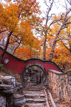 大觉寺