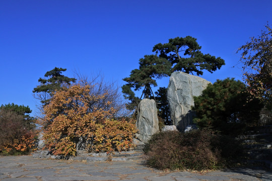 北京奥林匹克森林公园天境