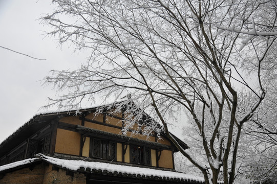 大雪覆盖了树梢与屋顶