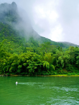 广西桂林阳朔漓江山川植被