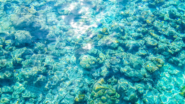 浅滩珊瑚礁