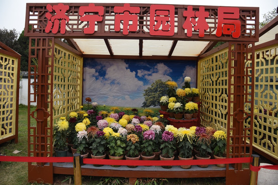 菊展