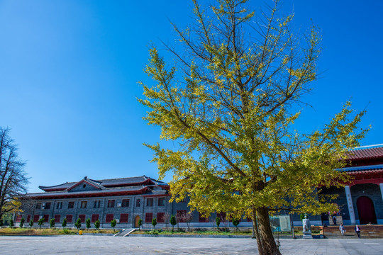 真如禅寺