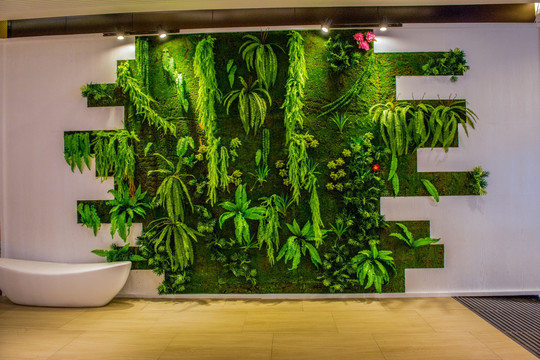 绿植装饰墙