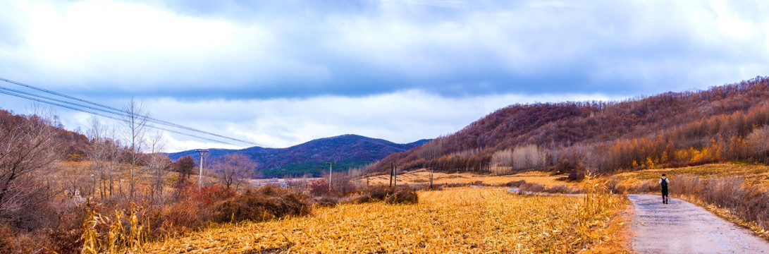 远山田野