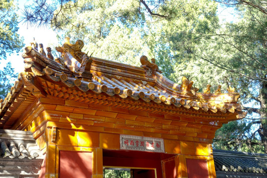 颐和园南湖岛广润灵雨祠