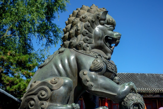 北京颐和园铜狮