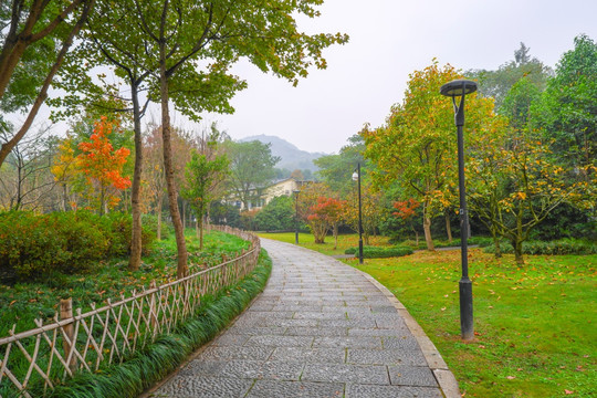 三台山路