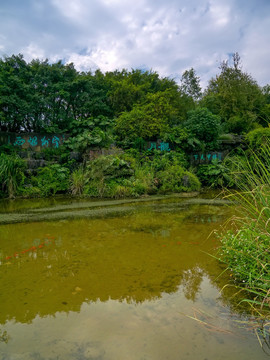 桂林訾洲岛飞瀑落虹水池