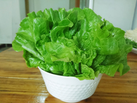 生菜