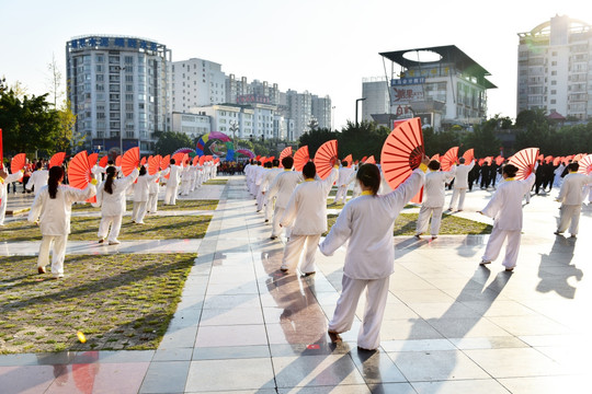 集体太极拳健身运动