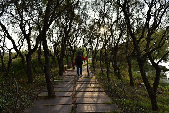 西昌湿地公园小渔村