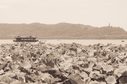 杭州西湖怀旧老照片