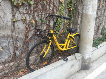 单车