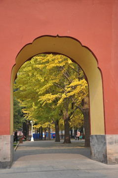 红墙宫门满色秋
