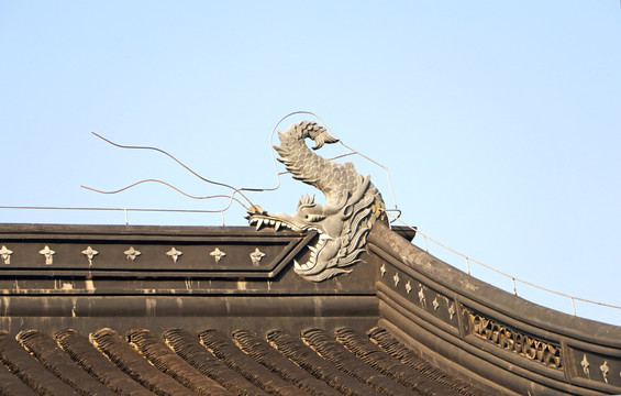 龙