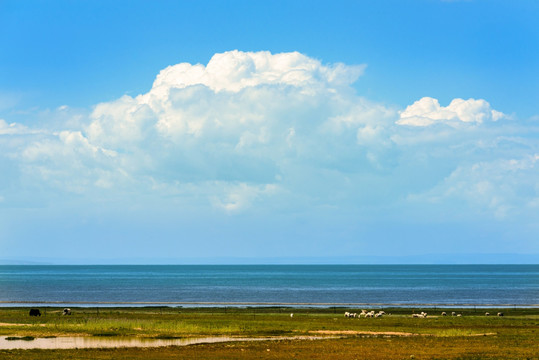 青海湖