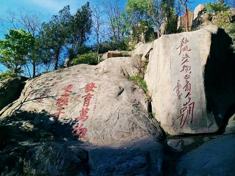 数风流人物还看今朝