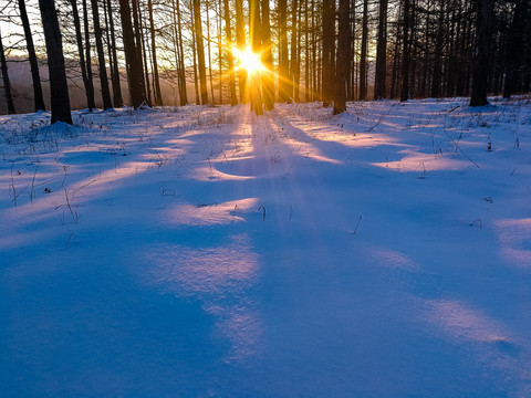 冬季森林雪原逆光