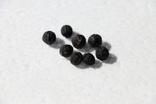 紫茉莉