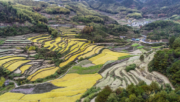 梯田