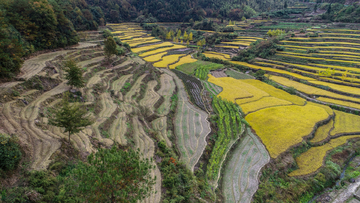 梯田风光