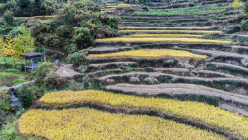 灵山梯田