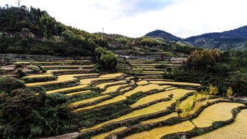 灵山梯田