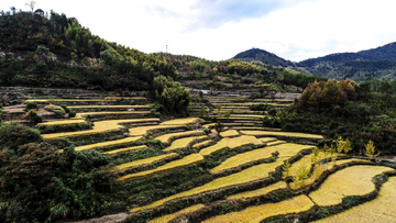 灵山梯田