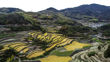 灵山梯田