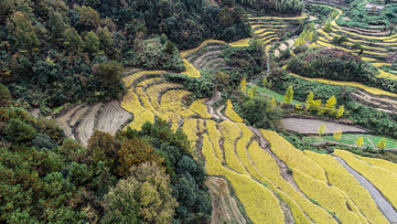 灵山梯田