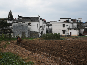 乡村即景