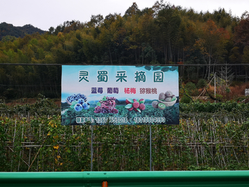标识牌