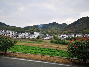 乡村