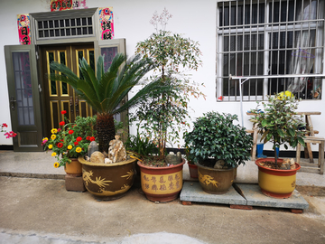 乡村