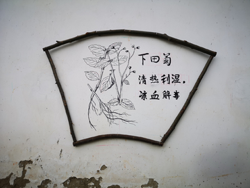 个性化墙绘