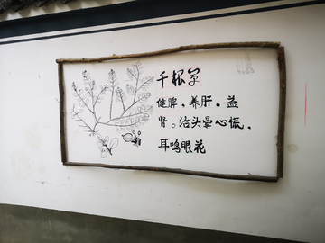 个性化墙绘