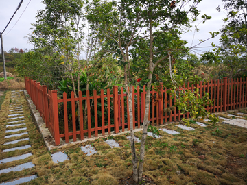 美丽乡村